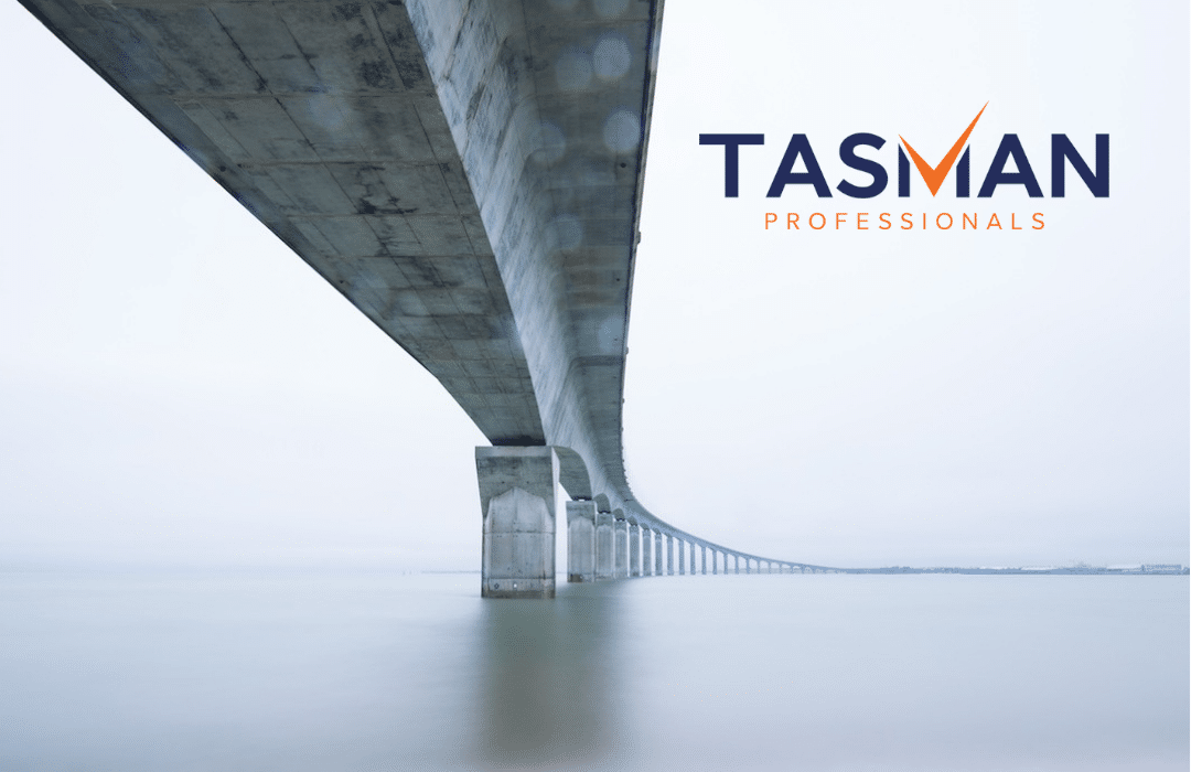 QA Engineer Logo Tasman Professionals hydraulic engineering