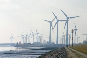 windparken